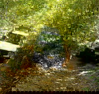 Cairns National Park Rainforest and Waterfall Small Group Tour Shore Excursion - Accommodation BNB