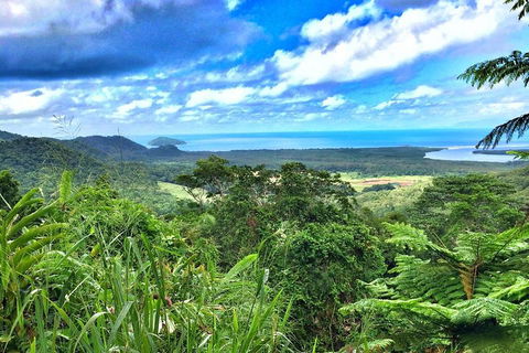 Private Daintree National Park Day Tour From Cairns Including Cape Tribulation And Mossman Gorge - Accommodation BNB 2