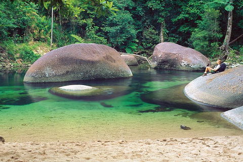 Private Daintree National Park Day Tour From Cairns Including Cape Tribulation And Mossman Gorge - Accommodation BNB 4