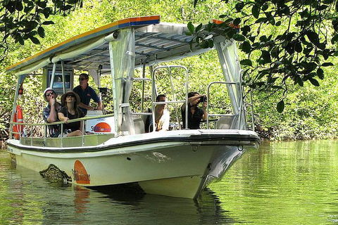 Private Daintree National Park Day Tour From Cairns Including Cape Tribulation And Mossman Gorge - Accommodation BNB 5