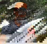 Full-Day Great Ocean Road Small-Group Tour from Melbourne - Accommodation BNB