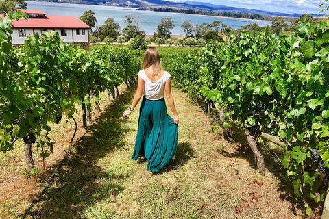 Tamar Valley Wine Tour With Lunch - Accommodation BNB 2