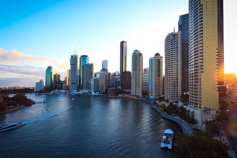 Brisbane City Highlights With Lone Pine! - Accommodation BNB 3