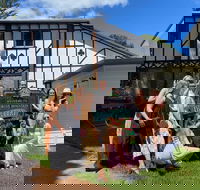 Mt Tamborine ScenicRim Deluxe Wine Tasting and Sightseeeing Tour - Accommodation BNB