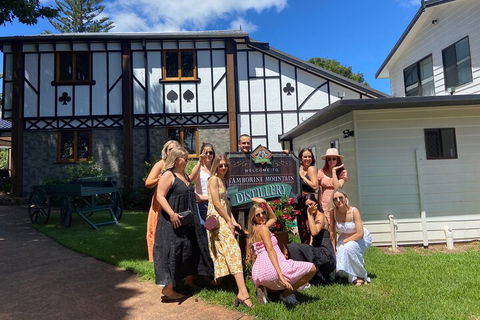 Mt Tamborine ScenicRim Deluxe Wine Tasting And Sightseeeing Tour - Accommodation BNB 0