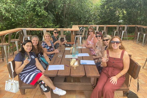 Mt Tamborine ScenicRim Deluxe Wine Tasting And Sightseeeing Tour - Accommodation BNB 2