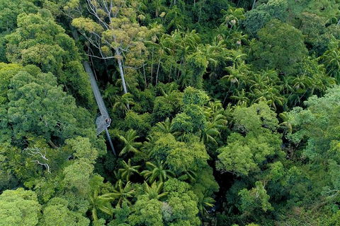 Natural Bridge, Skywalk And Mt Tamborine Adventure! - Accommodation BNB 2