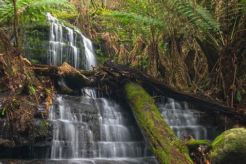 Hobart And Surrounds Photography Workshop - Accommodation BNB 2