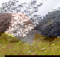3-Day Cradle Mountain Photography Workshop - Accommodation BNB