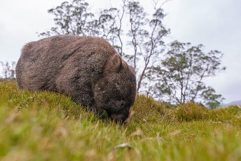 3-Day Cradle Mountain Photography Workshop - Accommodation BNB 0