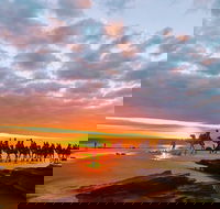 1 Hour Broome Sunset Camel Tour - Accommodation BNB