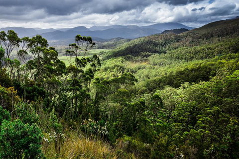 3-Day Tour To The Falls, Mountains, Lake & More Of West Coast Tasmania - Accommodation BNB 0