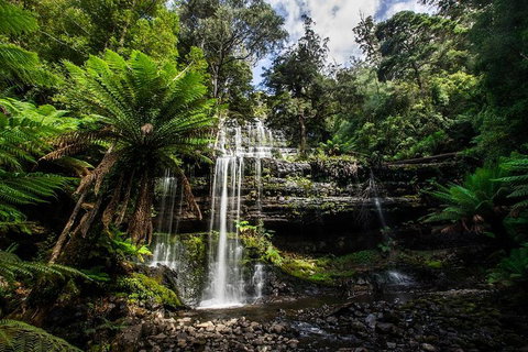3-Day Tour To The Falls, Mountains, Lake & More Of West Coast Tasmania - Accommodation BNB 4