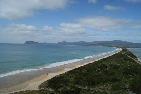 Bruny Island Day Trip From Hobart - Accommodation BNB 0