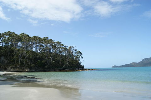 Bruny Island Day Trip From Hobart - Accommodation BNB 1