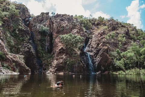 Litchfield National Park Day Tour From Darwin With Waterfalls And Buley Rockhole - Accommodation BNB 1