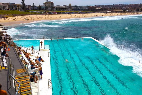Private Sydney Half Day Tour Including Sydney Opera House And Bondi Beach - Accommodation BNB 1