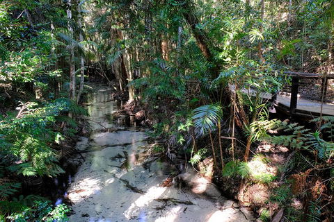 Fraser Island 4WD Tour From Rainbow Beach - Accommodation BNB 0