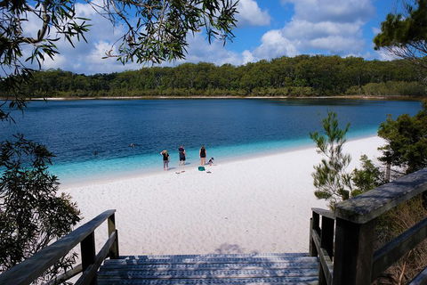 Fraser Island 4WD Tour From Rainbow Beach - Accommodation BNB 3