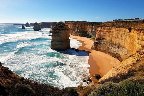 Helicopter Flight + Fine Dining Private Luxury Great Ocean Road Tour - Accommodation BNB 4