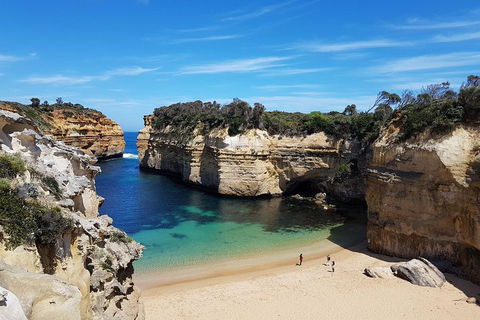 Great Ocean Road Adventure - Private Tour - Reverse - Accommodation BNB 0