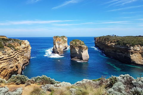 Great Ocean Road Adventure - Private Tour - Reverse - Accommodation BNB 1