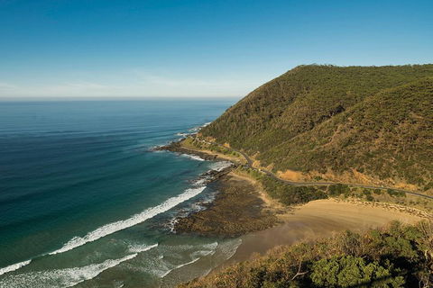 Great Ocean Road Adventure - Private Tour - Reverse - Accommodation BNB 2