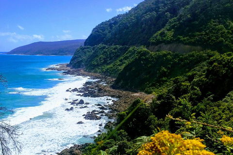 Great Ocean Road Adventure - Private Tour - Reverse - Accommodation BNB 3