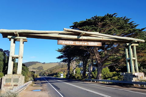 Great Ocean Road Adventure - Private Tour - Reverse - Accommodation BNB 5