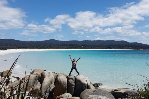 Tasmania 4 Day East Coast + Launceston - Accommodation BNB 1