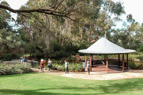 Highlights Of Kings Park - Accommodation BNB 1