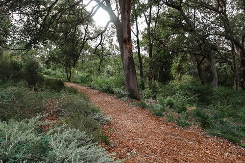 Highlights Of Kings Park - Accommodation BNB 5