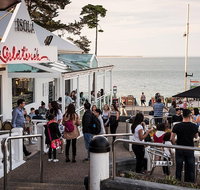 Phillip Island and French Island Wildlife Expedition