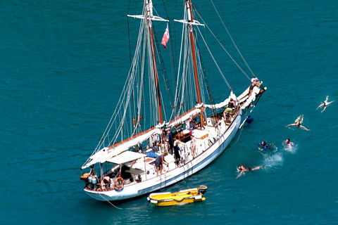 Whitehaven Beach Sailing And Snorkeling Cruise - Accommodation BNB 3