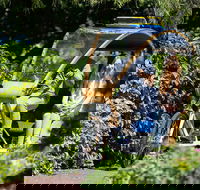 Adelaide 90-Minute Pedicab Tour Scenic Green  River Experience - Accommodation BNB