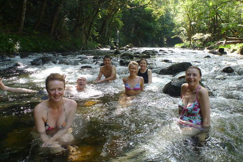 Daintree Rainforest, Cape Tribulation, Mossman Gorge Small-Group Day Tour - Accommodation BNB 0