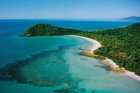 Daintree Rainforest, Cape Tribulation, Mossman Gorge Small-Group Day Tour - Accommodation BNB 4