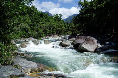 Daintree Rainforest, Cape Tribulation, Mossman Gorge Small-Group Day Tour - Accommodation BNB 5
