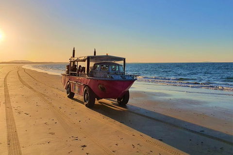 Town Of 1770 Afternoon Cruise - Accommodation BNB 1