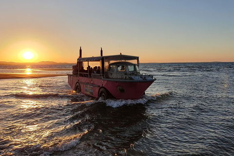 Town Of 1770 Afternoon Cruise - Accommodation BNB 3