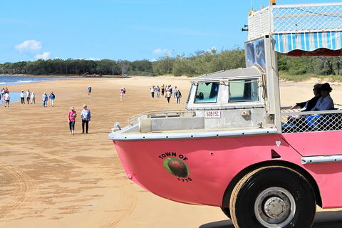 1770 Coastline Tour By LARC Amphibious Vehicle Including Picnic Lunch - Accommodation BNB 0
