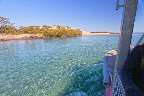 1770 Coastline Tour By LARC Amphibious Vehicle Including Picnic Lunch - Accommodation BNB 5