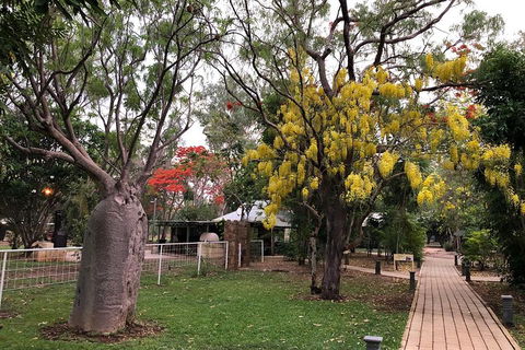Wet Season Mitchell Falls Tour - Mitchell Falls, Horizontal Falls & Cygnet Bay - Accommodation BNB 1