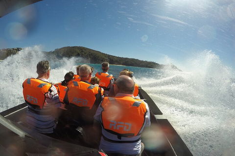 Noosa Thriller - 500hp Ocean Adventure Ride - Accommodation BNB 3