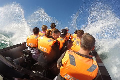 Noosa Thriller - 500hp Ocean Adventure Ride - Accommodation BNB 4