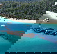 All Inclusive Tangalooma Wrecks Cruise Tour From Gold Coast - Accommodation BNB