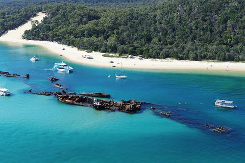 All Inclusive Tangalooma Wrecks Cruise Tour From Gold Coast - Accommodation BNB 0