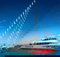 Passions of Paradise Great Barrier Reef Snorkel and Dive Cruise from Cairns by Luxury Catamaran - Accommodation BNB