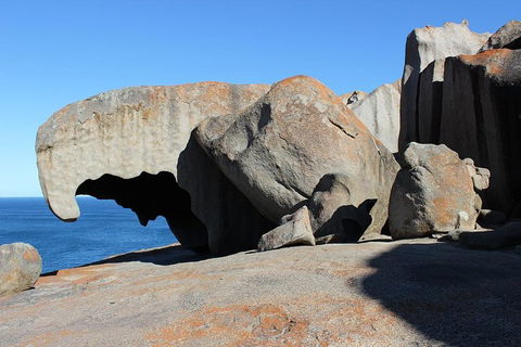 Kangaroo Island Personal Group Tours - Accommodation BNB 2