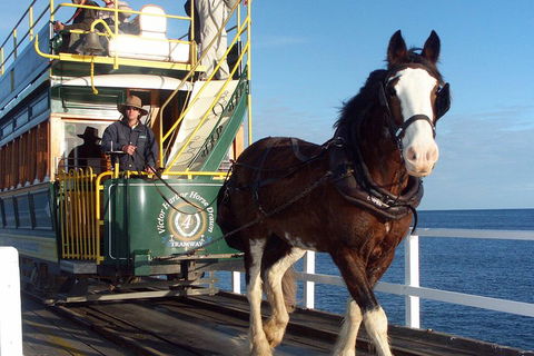 Full-Day Tour In South Australia Highlights - Accommodation BNB 1